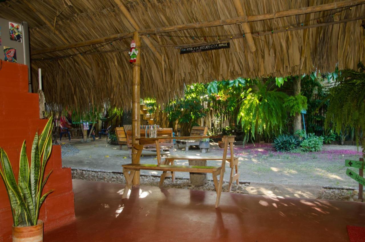 Hostal Corazon De Tagua Palomino Exteriér fotografie
