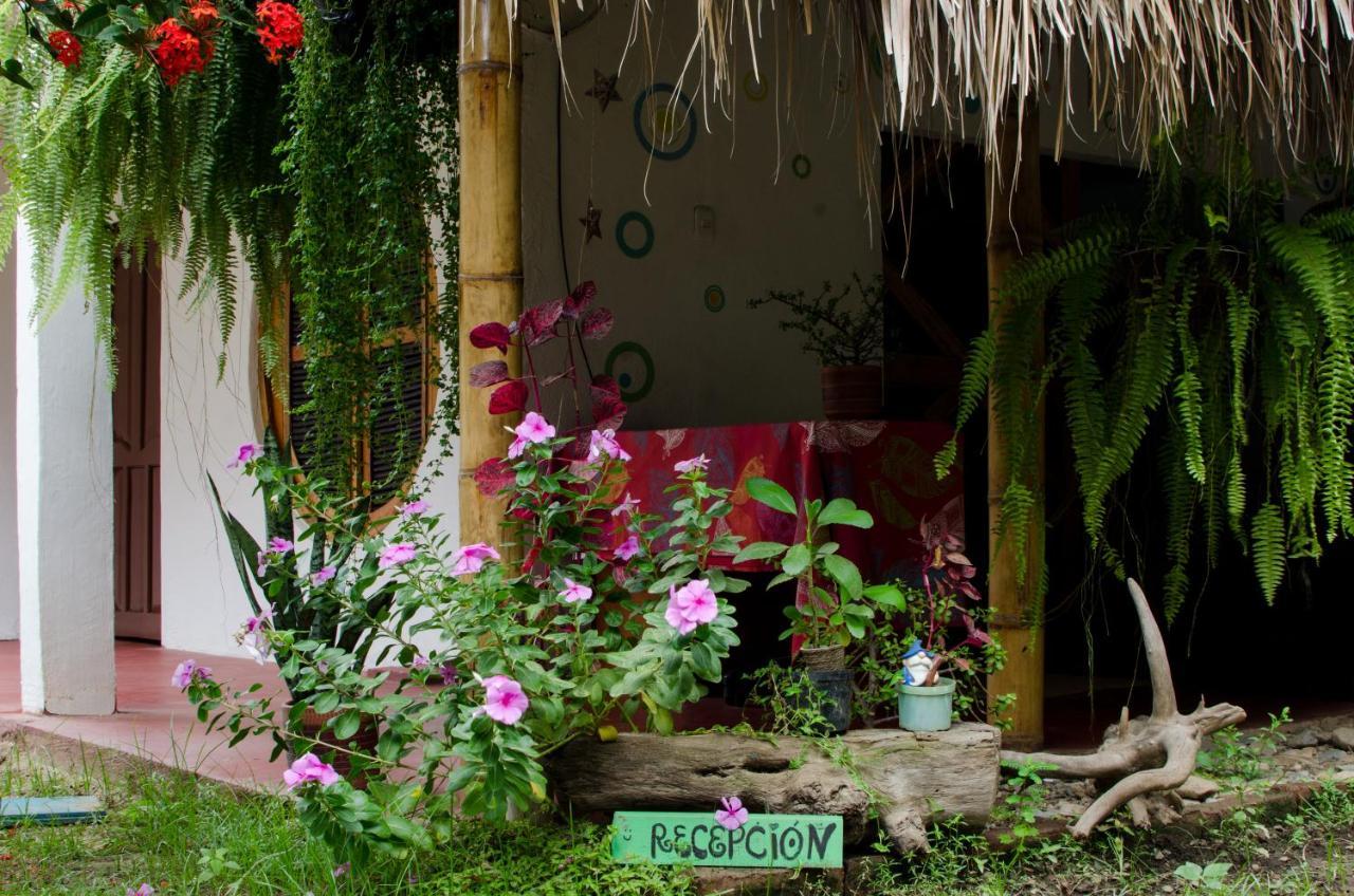 Hostal Corazon De Tagua Palomino Exteriér fotografie