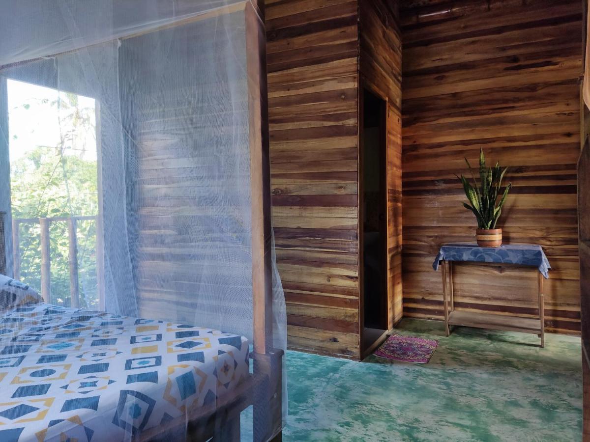 Hostal Corazon De Tagua Palomino Exteriér fotografie