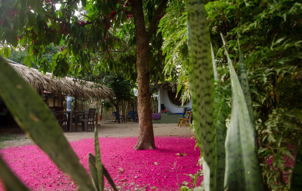 Hostal Corazon De Tagua Palomino Exteriér fotografie