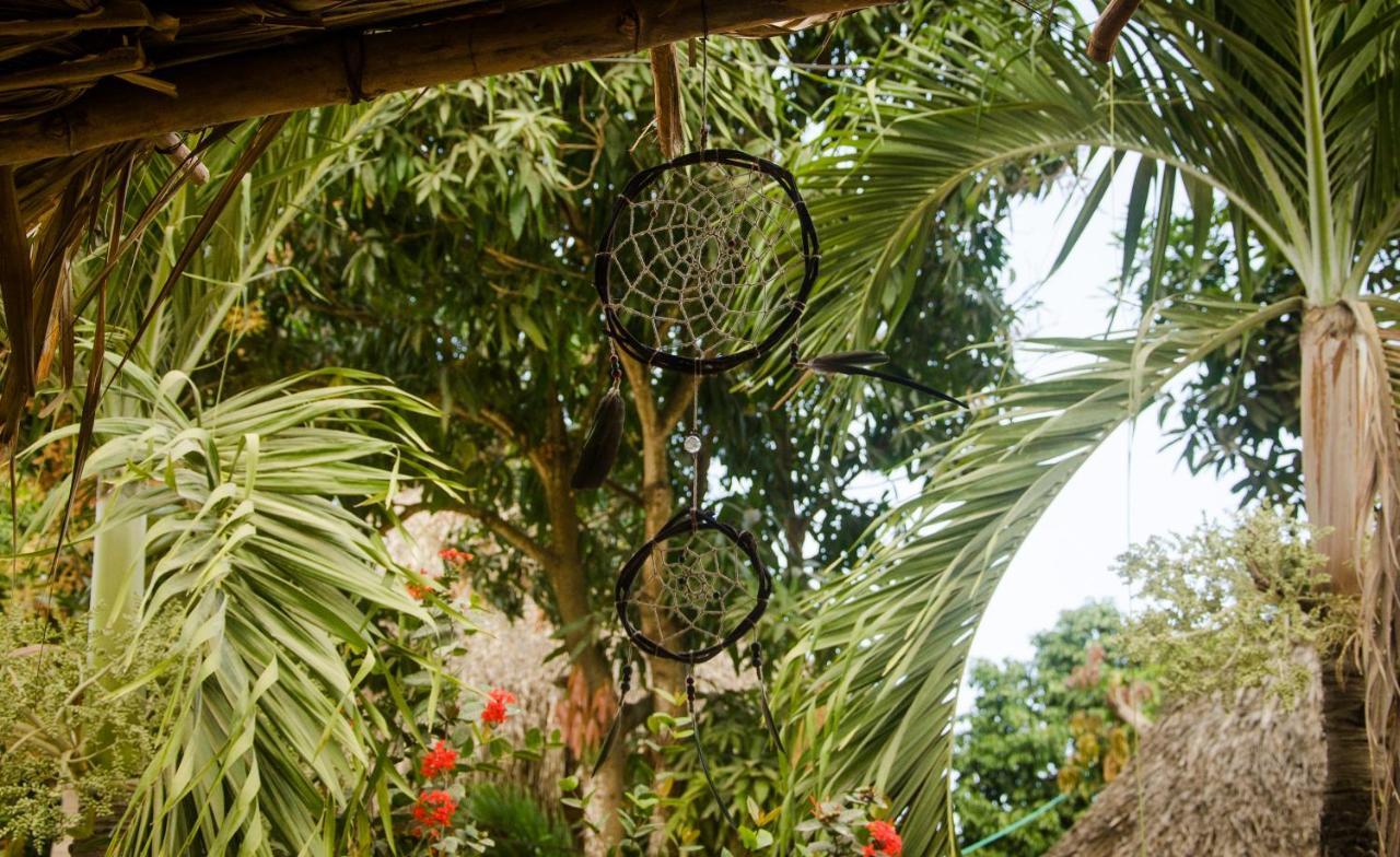 Hostal Corazon De Tagua Palomino Exteriér fotografie