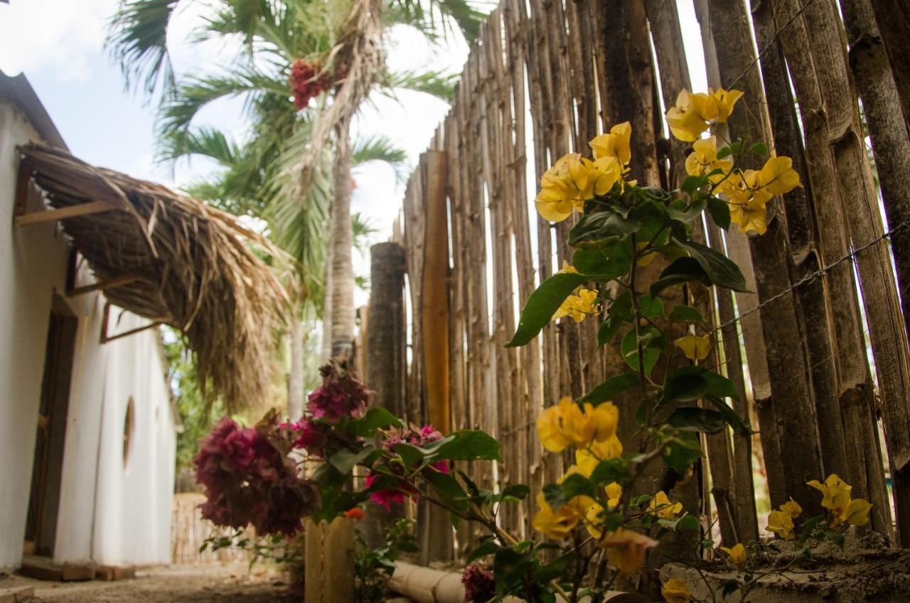 Hostal Corazon De Tagua Palomino Exteriér fotografie