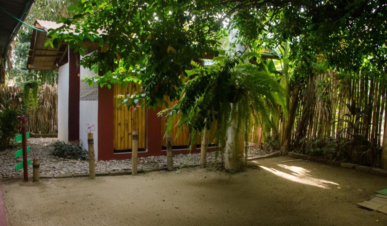 Hostal Corazon De Tagua Palomino Exteriér fotografie